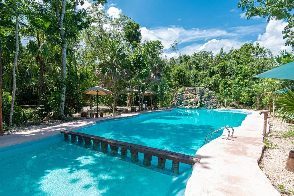 Jolie Jungle Eco Hotel