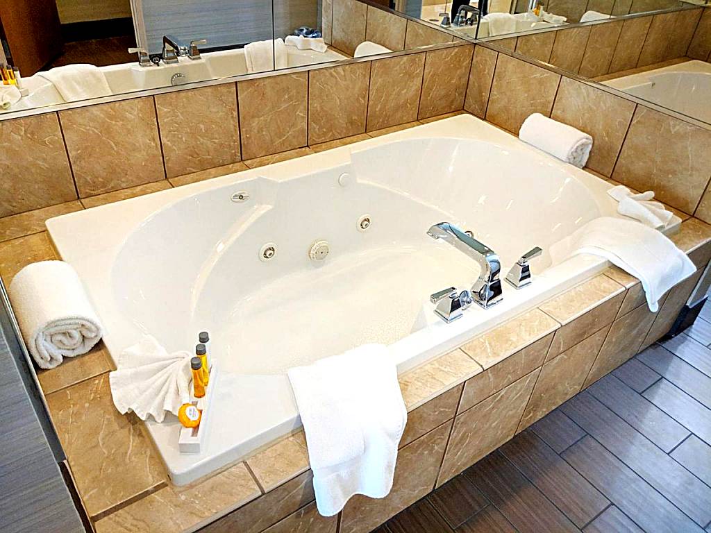 Holiday Inn Purdue - Fort Wayne: King Suite with Spa Bath (Fort Wayne) 