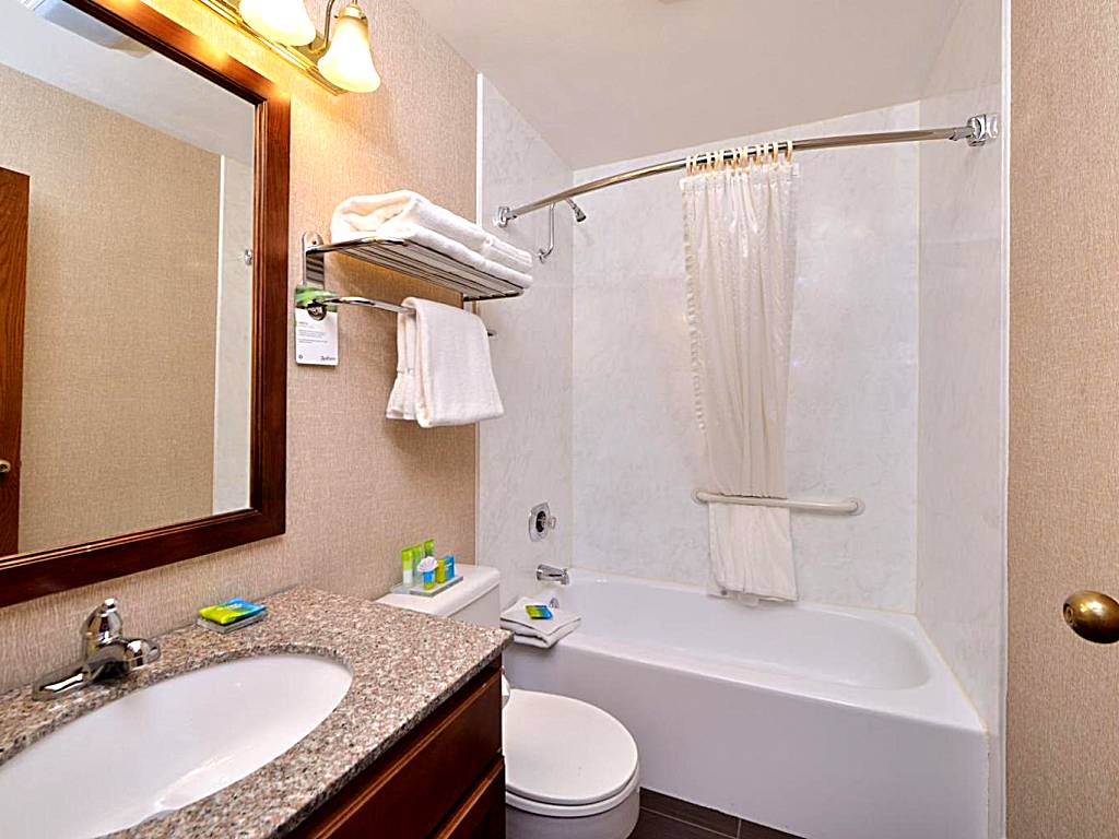 Radisson Hotel Madison: King Suite with Whirlpool - Non-Smoking