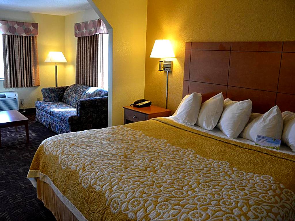 Days Inn by Wyndham Airport Nashville East: Deluxe King Room - Non-Smoking